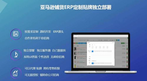 跨境电商亚马逊erp系统定制